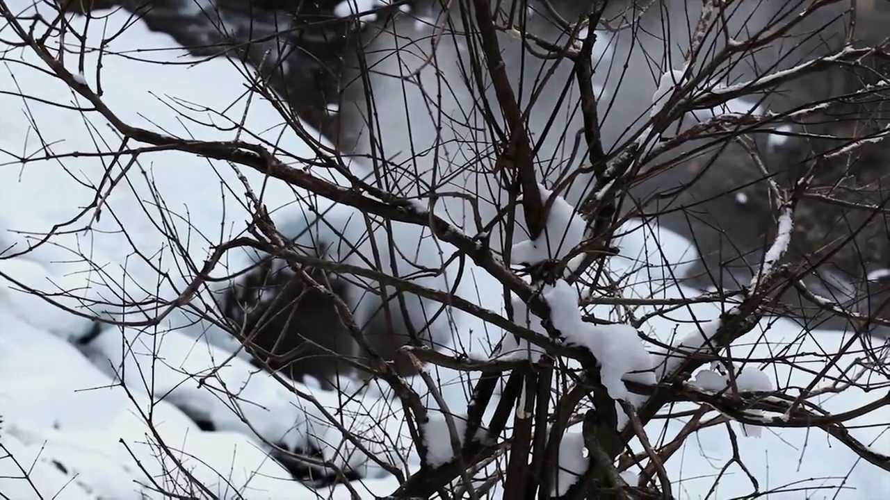 Destination Uncharted: Land of Snow Monsters