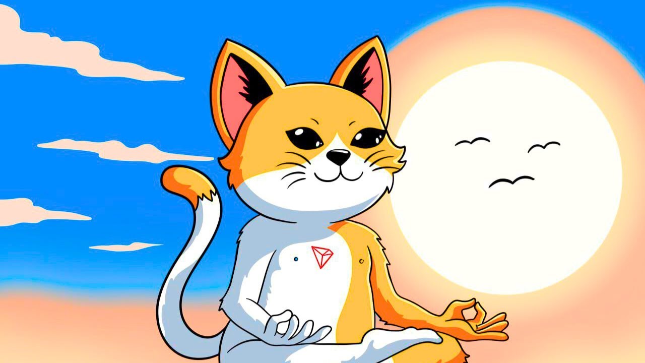 SUNCAT IS THE NEWEST MEME COIN ON TRON!! THIS PROJECT HAS SO MUCH  POTENTIAL!!