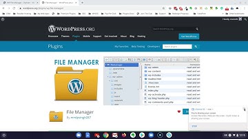 WP File Manager, an essential plugin if you use WordPress
