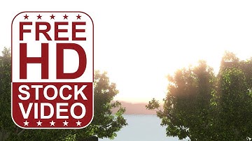 Free Stock Videos – camera flying above trees with wind effect towards the sea and sunset 3D