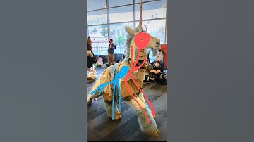 how do quadsuits work? #fursuits #furry #cosplay