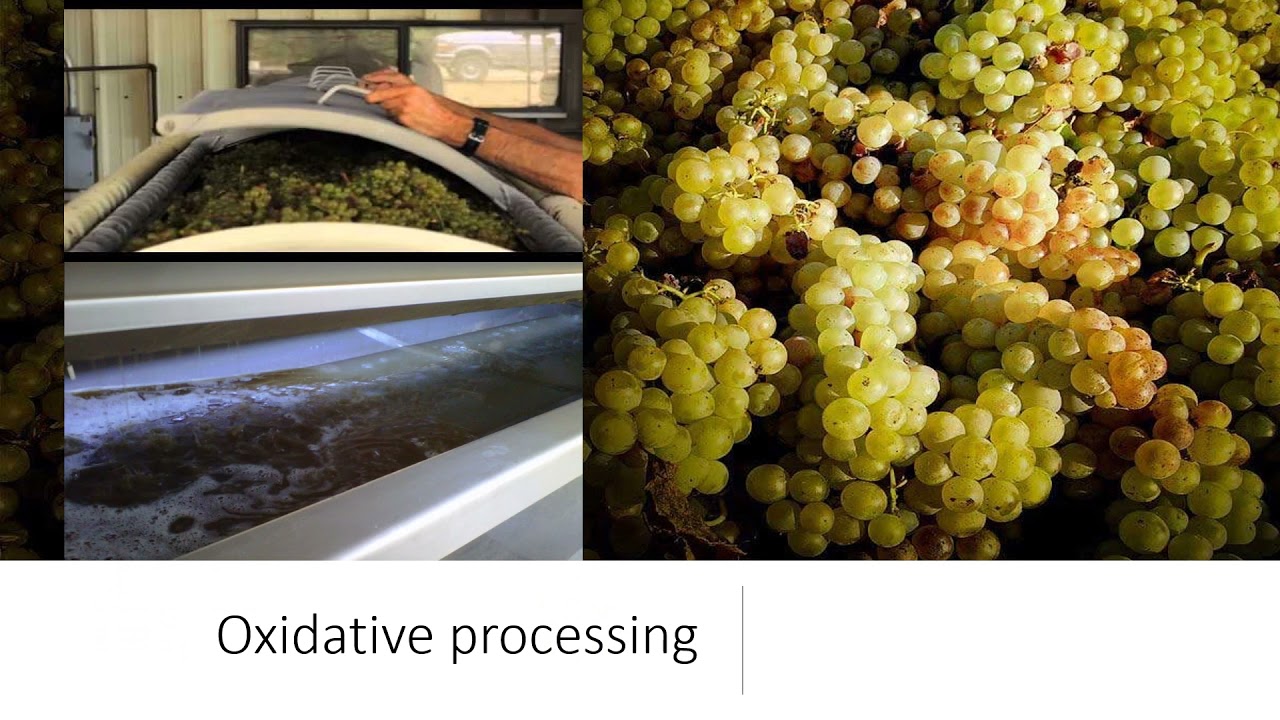 Управление кислородом №1: восстановительный и окислительный эффект белого вина 2021 года