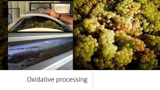 Oxygen Management #1 White Wine Reductive Vs Oxidative 2021