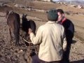 Konya Bozkır Armutlu Köyü 2005 Süleyman Nerede 1