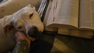 The Book of Daniel Chapter 2 from The Holy Bible Catholic Readers Edition 