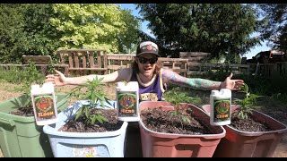 Advanced Nutrients Cannabis Helper!