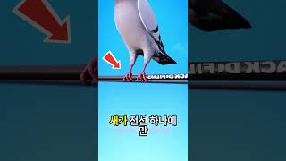 인간만 감전! 😱⚡