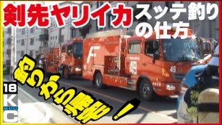 堤防イカをペットボトルで釣る(24話目)