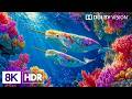 Magical Under Sea Creatures in 8K HDR | Dolby Vision™