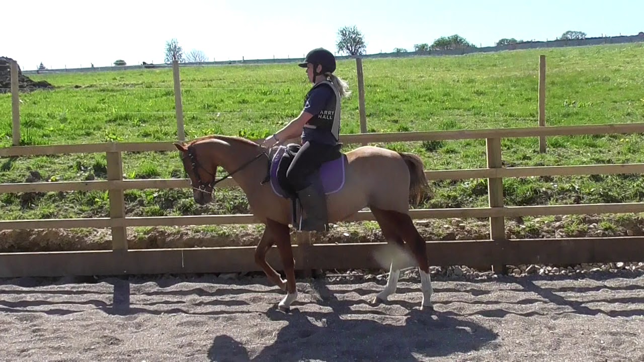 Day 3 walking without a leader - YouTube