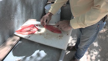 How to fillet and pan fry Kokanee