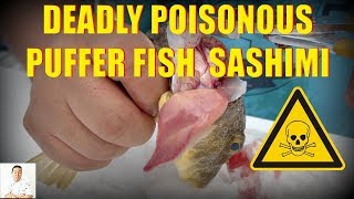 Download lagu POISONOUS Fugu Puffer Fish Sashimi | Catch, Clean, Cook and Slice