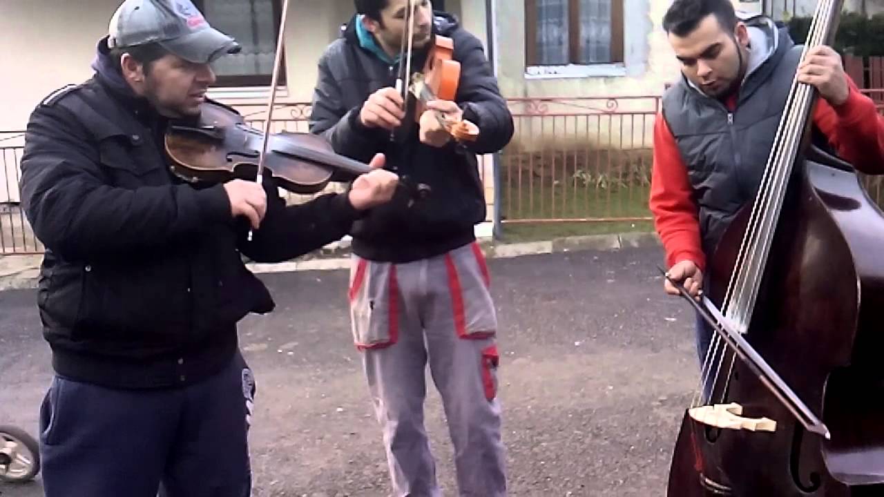 sadla vcielka skuška