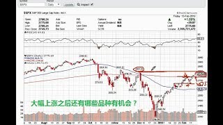 #船老大美股日评#20190217