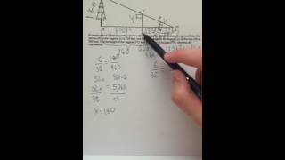 Math 204B honors project