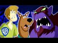 Scooby-Doo! | How To Catch El Chupacabra | WB Kids
