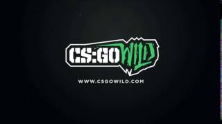 Csgo Wild - Therealninja