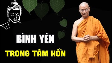 Càng Đơn Giản mọi thứ tâm Càng Thanh Tịnh, Càng Ngập Tràn Hạnh Phúc | HT. Viên Minh