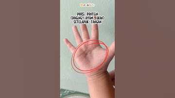 Ukur Porsi MPASI tanpa repot - tanpa timbangan cuma pakai tangan | parentify