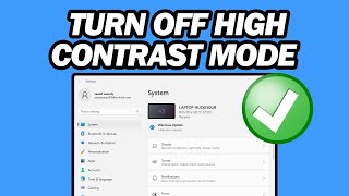 How to Turn Off High Contrast Mode on Windows 11 | Step by Step