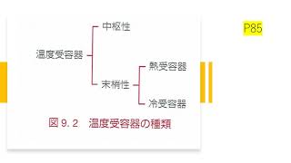 スポーツ生理学R2前14 0806動画資料