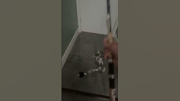 Thumbnail of Rate this combo vanstall vr50 and a star rods stellar lite MH