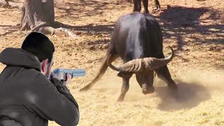 Challenging the Black Death and pumping adrenaline while hunting African buffalo by The Art Of Hunt 18,823 views 4 months ago 4 minutes, 56 seconds