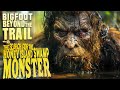The search for the honey island swamp monster bigfoot beyond the trail