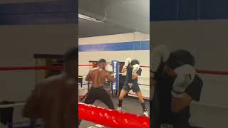 Amateur Boxing Vs Boxer Promoter With The Shirt Off ( Soft Sparring) screenshot 2