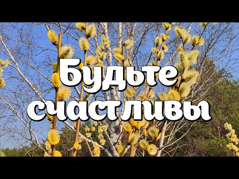 Пусть будет на душе тепло, а в доме Счастье и Добро Музыкальная открытка
