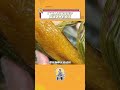 來個#廣西 的朋友說說你們的灰水粽到底有多好吃啊!#灰水粽#端午節#特色美食
