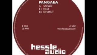 Pangaea - Coiled [HES 002]