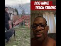 “Mike Tyson: Would You Name Your Dog After a Legend?”