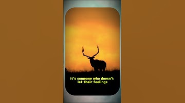 How not to snap and keep your cool   The Secret of the Stoics #motivation #stoicism #stoic #shorts