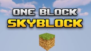 MINECRAFT TEK BLOK SKYBLOCK / BÖLÜM 6