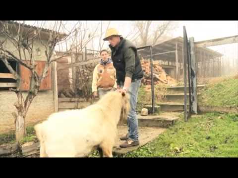 კვირას, 11 იანვარს, 12:30 საათზე - \"ფერმა\"