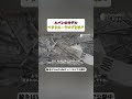 【ルパン】モデルとなった人物 #都市伝説 #宗教