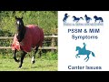PSSM & MFM Symptoms- Canter Issues
