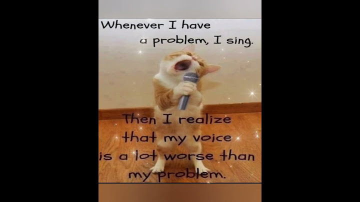 Video 2802021: pets laugh animals, laugh funniest cats dogs, laugh cats funny animal, dog cat laugh cute, loud funny cat