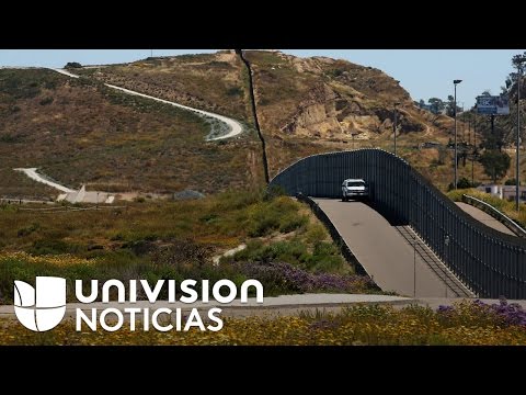 Vídeo: Es permeten pollastres a San Diego?