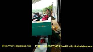 Celebrity Automatic Dragon Fruit Sorting Machine/fruit weight grading machine Wealth