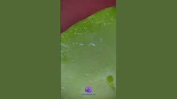 Cucumber 200x Zoom