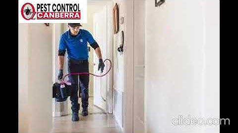Pest Control Gordon | Pest Control in Gordon | Gordon Pest Control | Gordon Pest Control Services