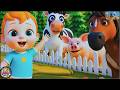 Learn Animal Sounds 🐄🐷 | Moo Moo Oink Oink Kids Song