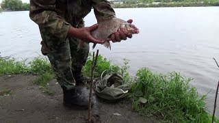 Рыбалка На Москва-Реке С Ночевкой. Чудеса!!! Хороший Улов При Плохом Клеве.