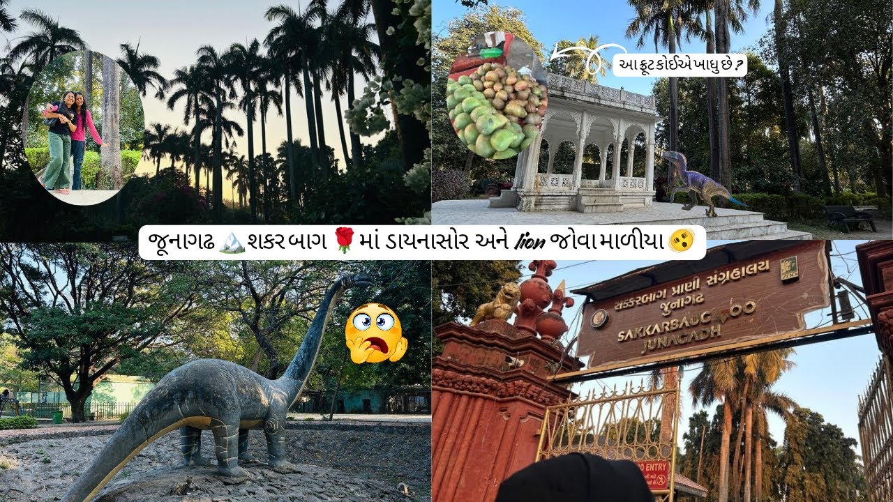 સકરબાગ ગયા અને શિવાની સાથે શું થયું?🤔🤭😅….@mannuchigsvlog 