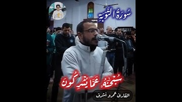 سورة التوبه القارئ عمرو اشرف