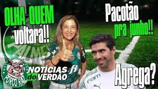 ELENCO DO PALMEIRAS VAI ENGORDAR EMJUNHO! SERÁ QUE AGREGARÁ MUITO??