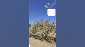 سورة يونس [ترتيل]#القرآن_الكريم #تيك_توك #طبيعت #اكسبلور #اكسبلورر #تيك_توك