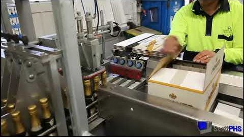 115 Semi-Auto COP Case Packer by www.phsinnovate.com